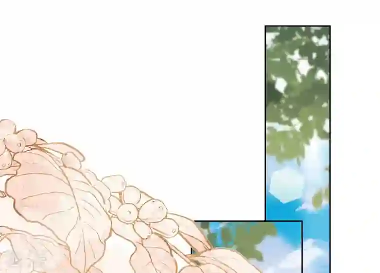 最豪赘婿 龙王殿第239话 绝壁堡垒