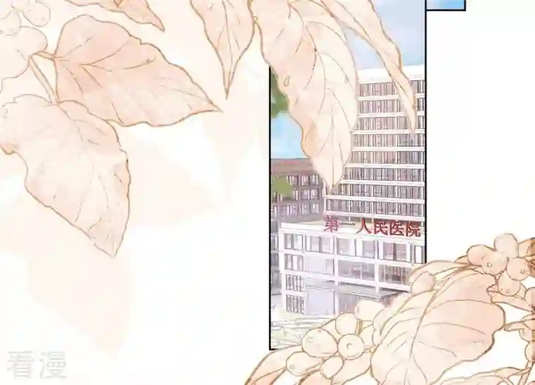 最豪赘婿 龙王殿第239话 绝壁堡垒