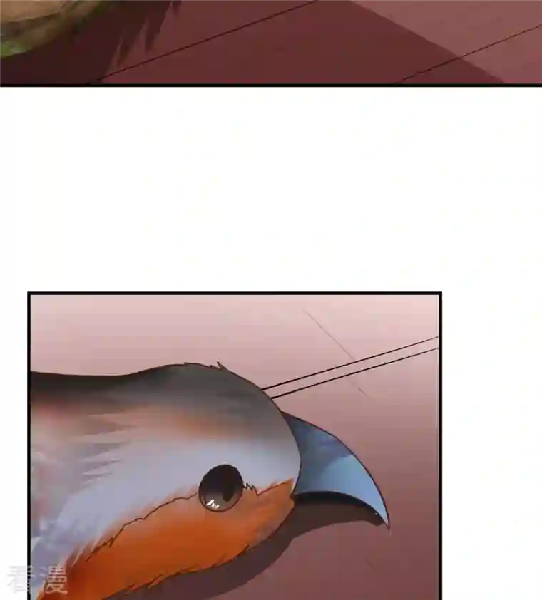 荒岛余生之时空流浪纪第211话