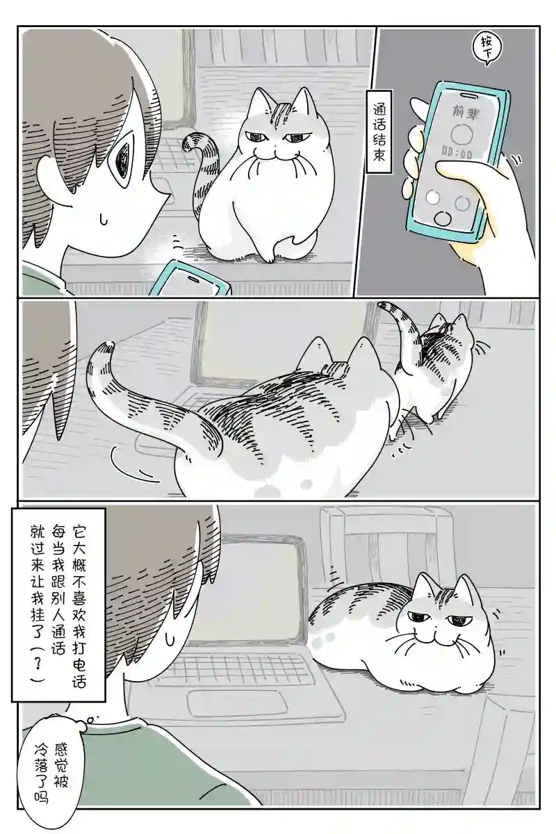 关于养猫我一直是新手第121话
