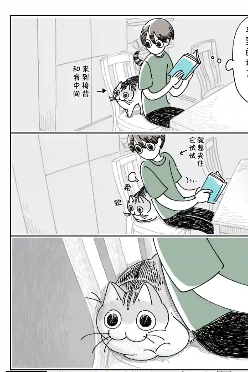 关于养猫我一直是新手第123话