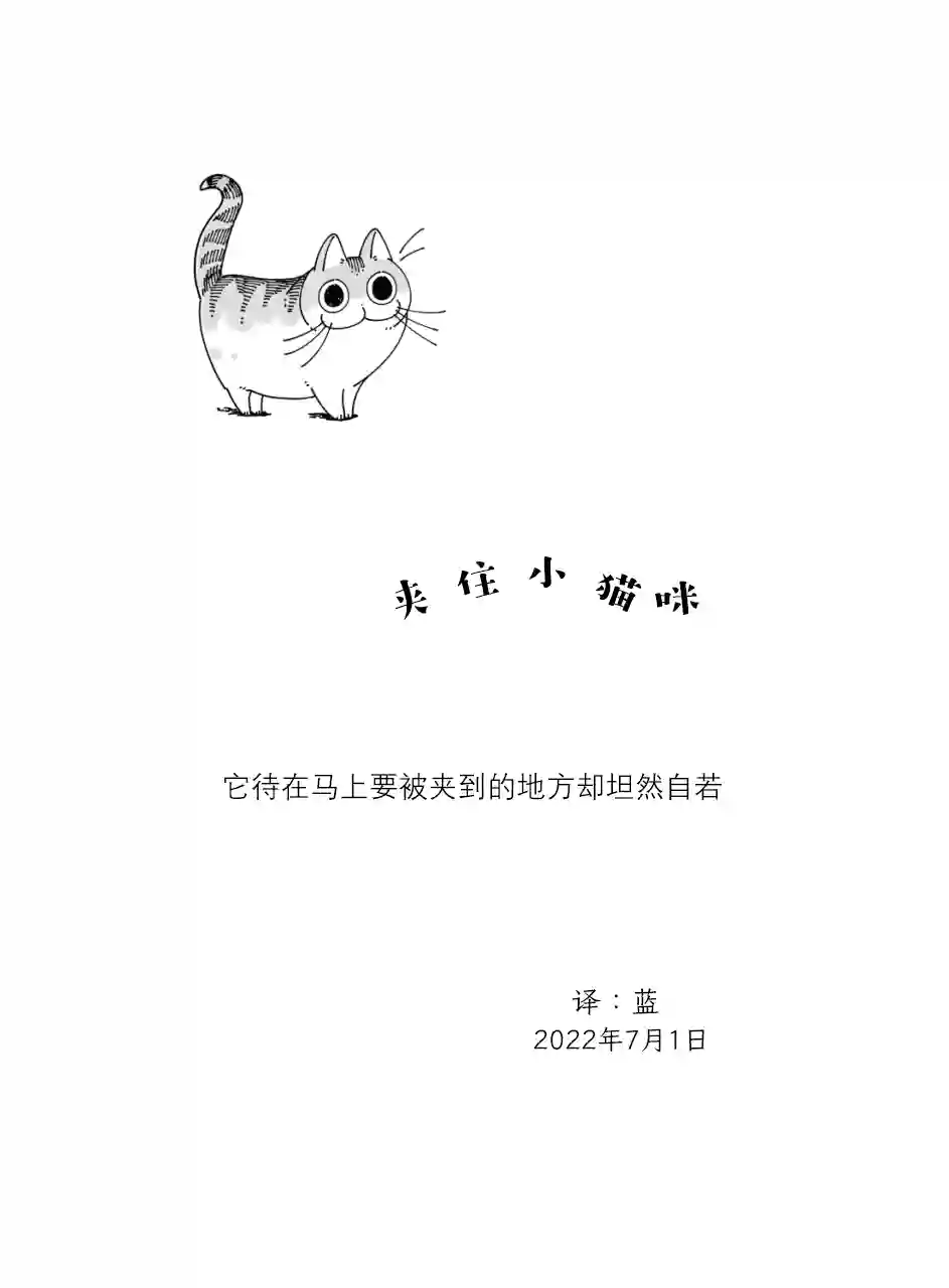关于养猫我一直是新手第123话