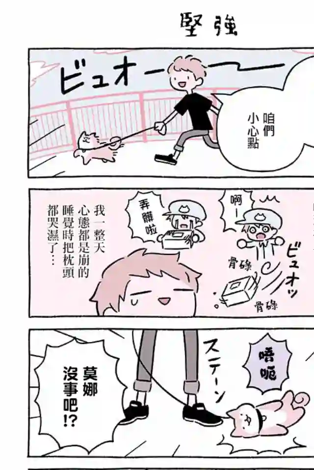 不可思议的猫咪 小九第248话