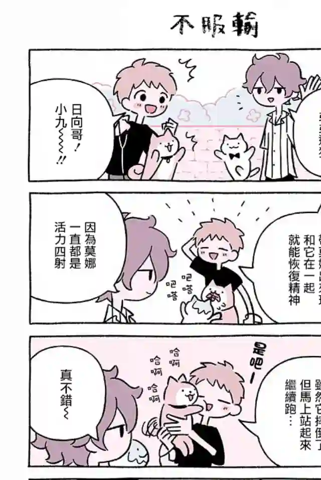 不可思议的猫咪 小九第248话