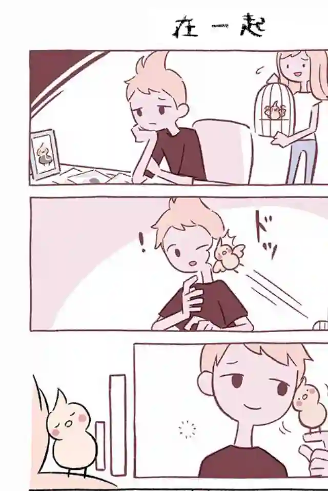 不可思议的猫咪 小九第250话