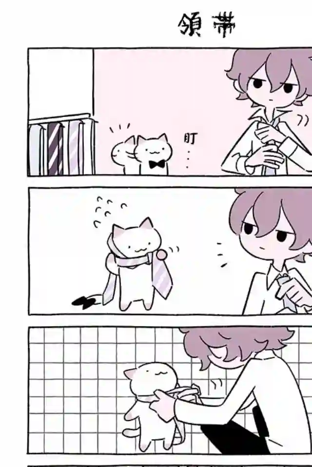 不可思议的猫咪 小九第250话