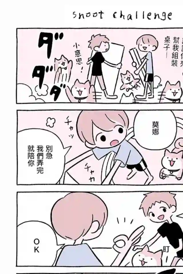 不可思议的猫咪 小九第250话