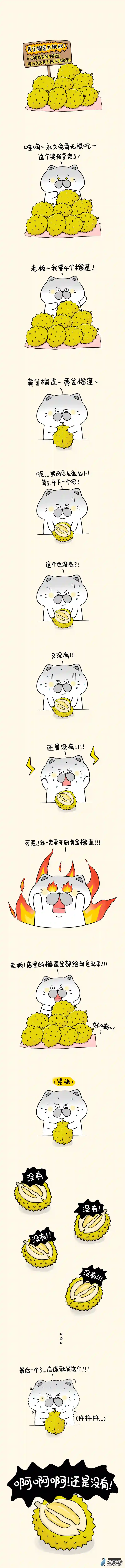 蛋蛋和喵喵10 黄金榴莲