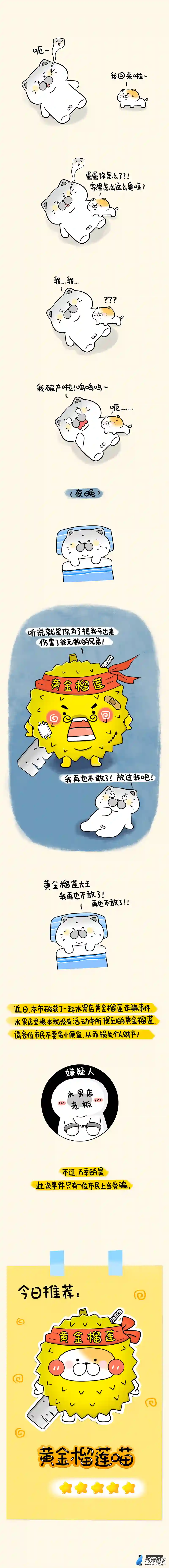 蛋蛋和喵喵10 黄金榴莲