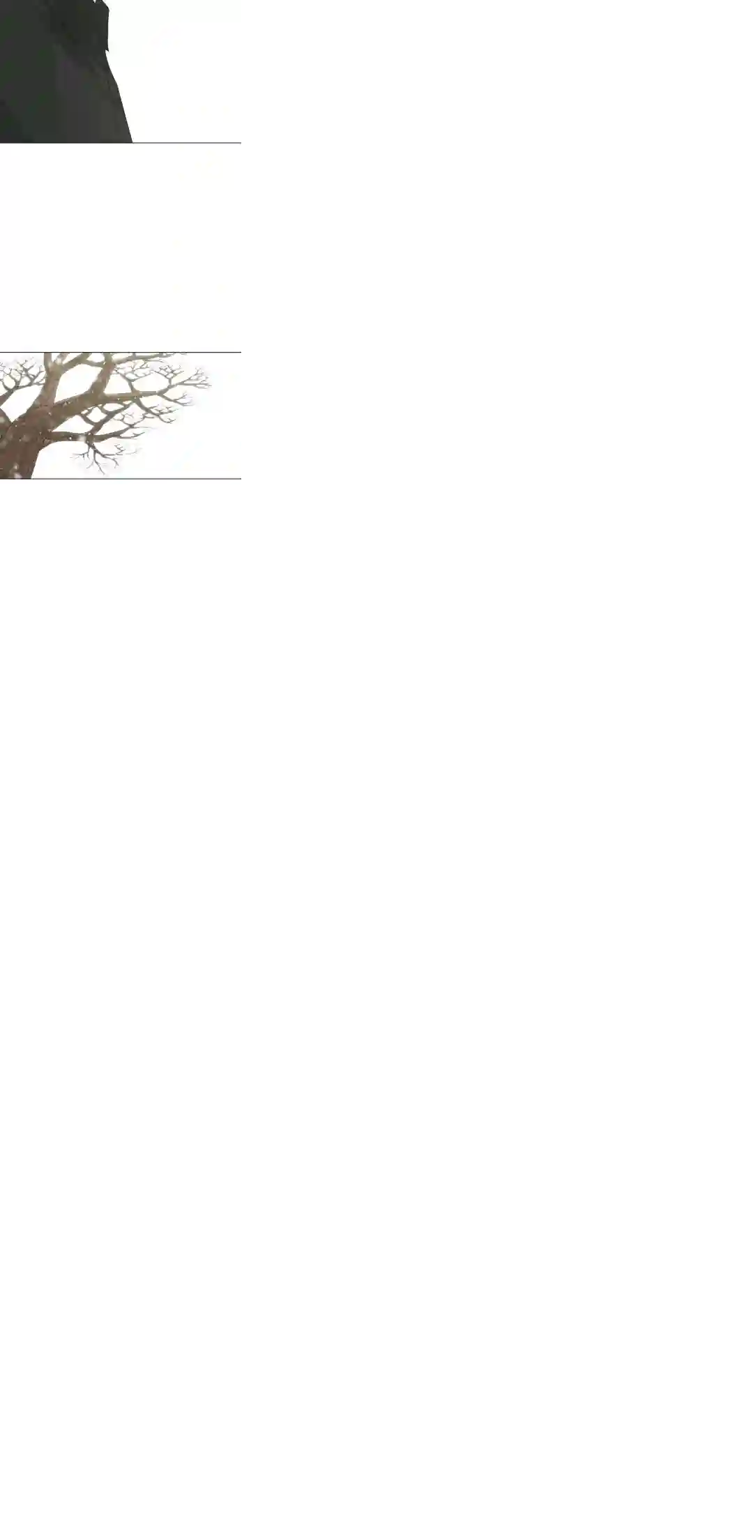 触发人生第24话