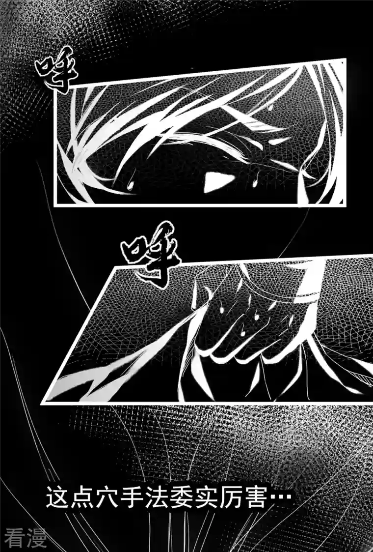 明将军之偷天换日第28话 故人之子