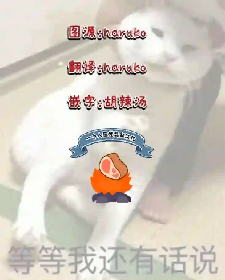 王太子大人，这次我绝不想被你杀掉！第11话