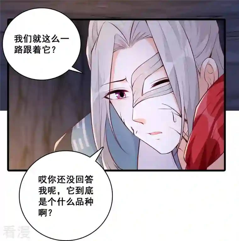 反派女帝来袭！第175话 药