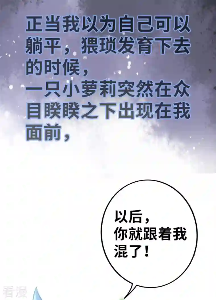 一招制霸修真界序章 我的师父是萝莉