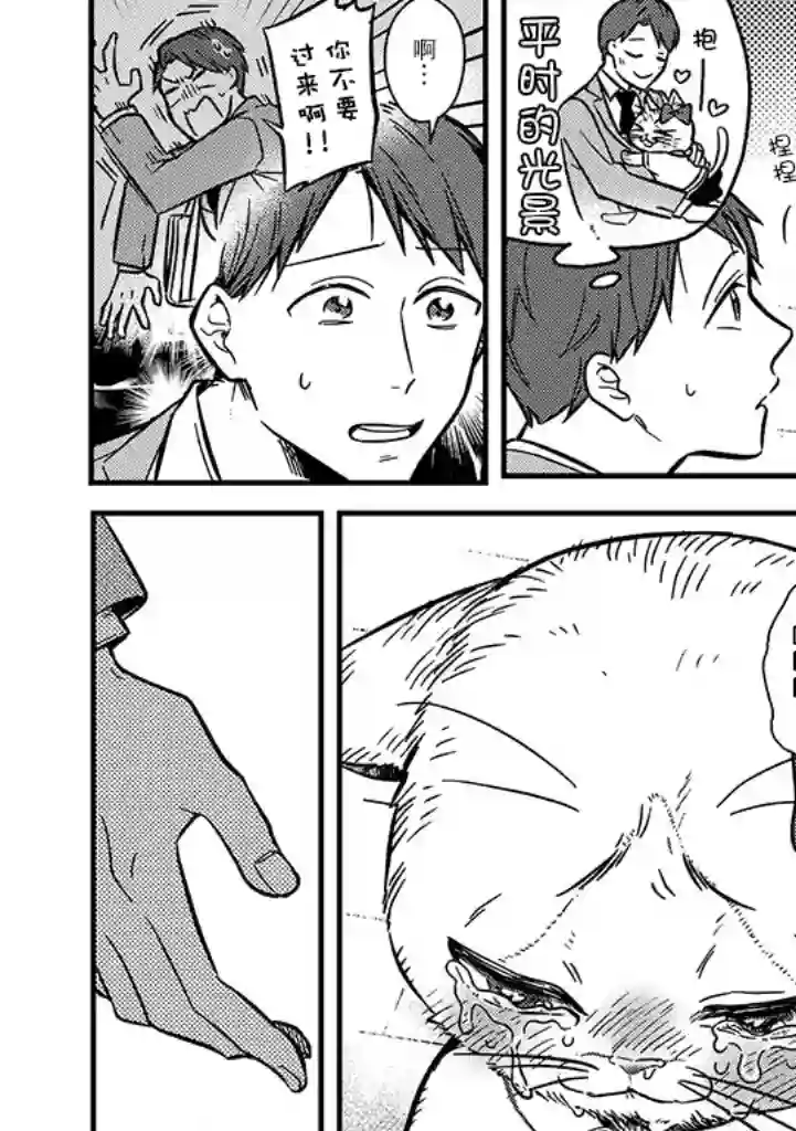 俺妹是猫第01话