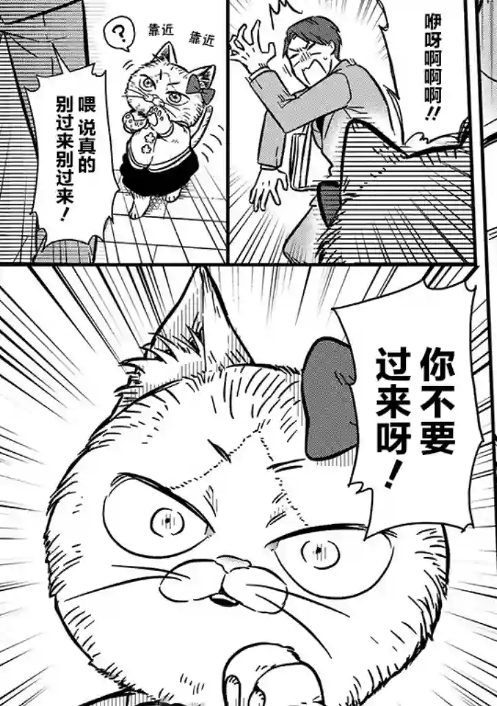 俺妹是猫第01话
