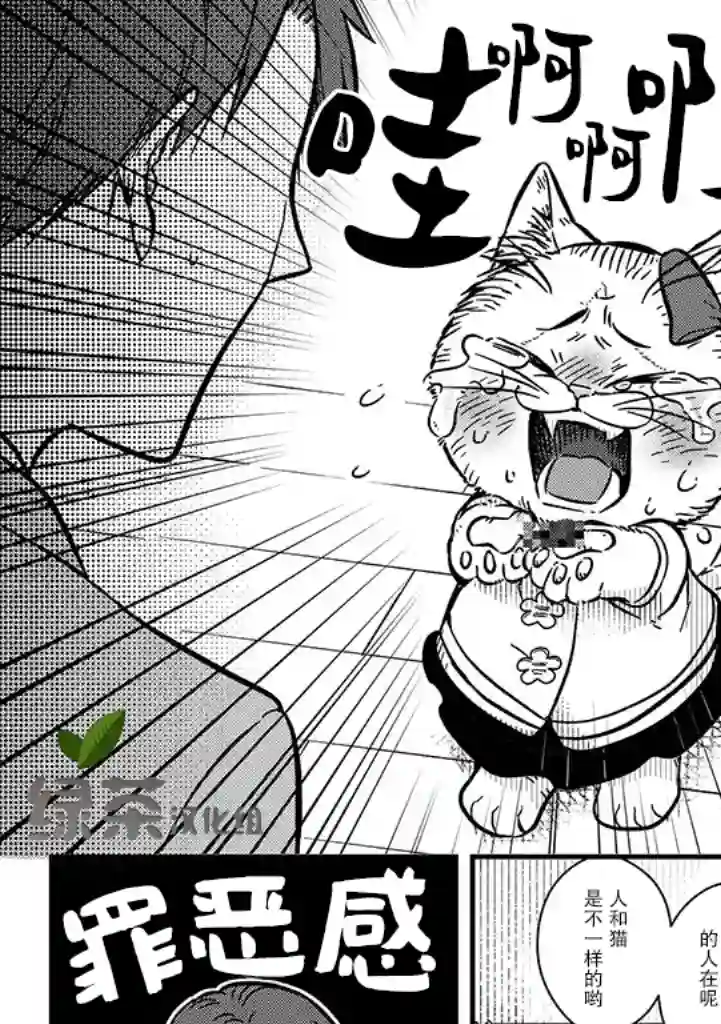 俺妹是猫第01话