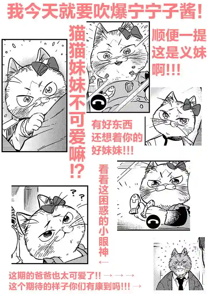 俺妹是猫第02话