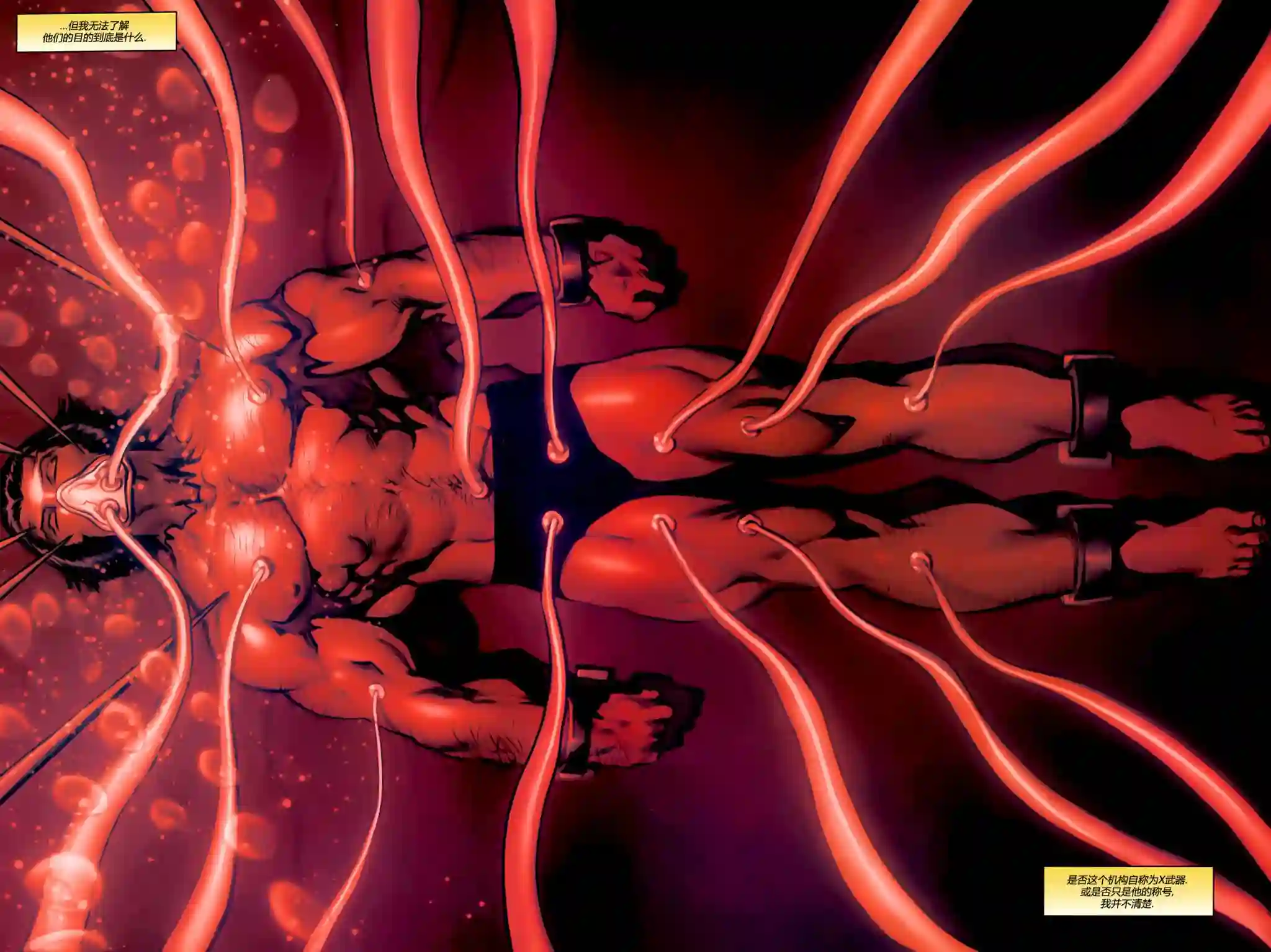 X战警：起源金刚狼