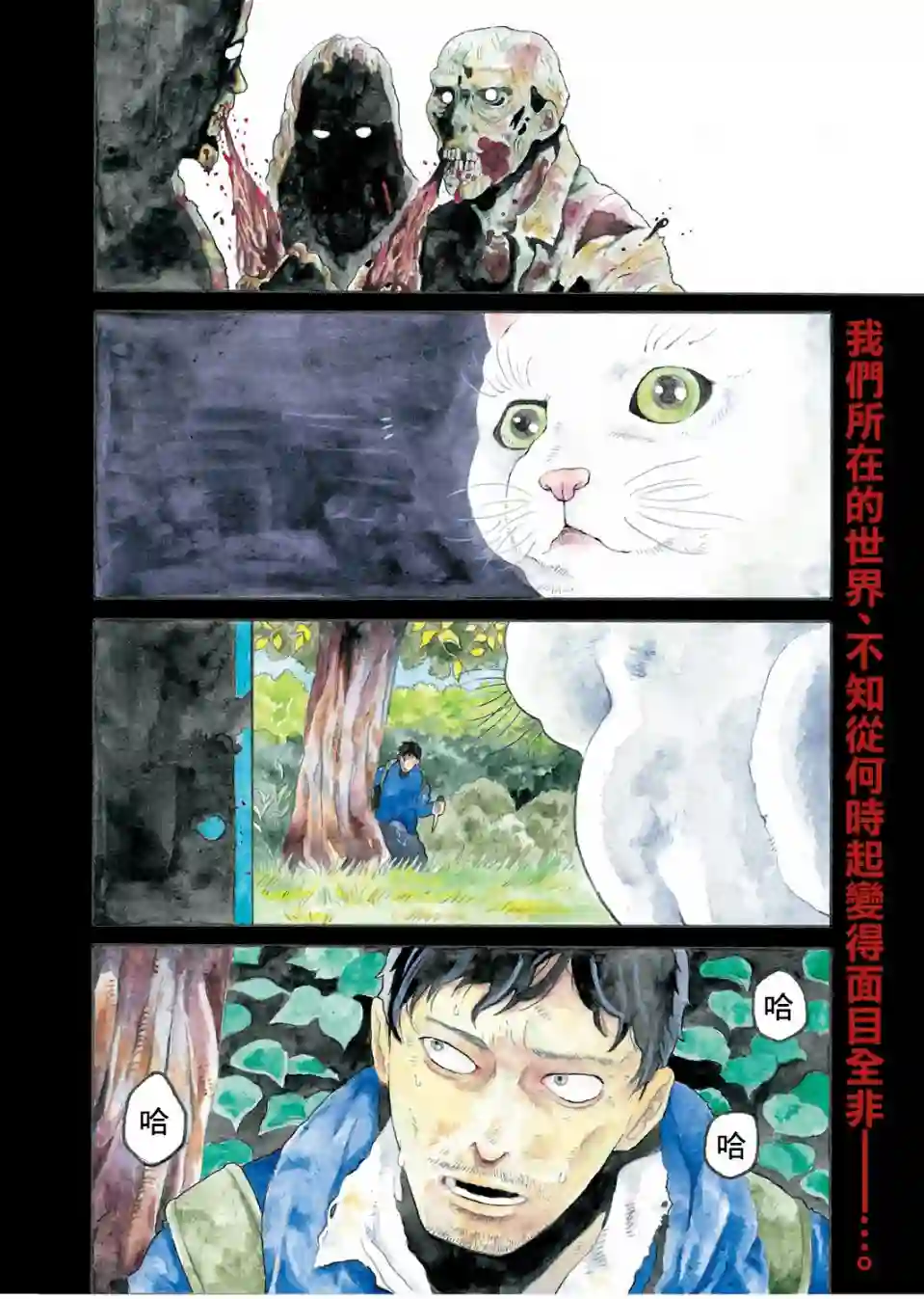 与猫随行第01话