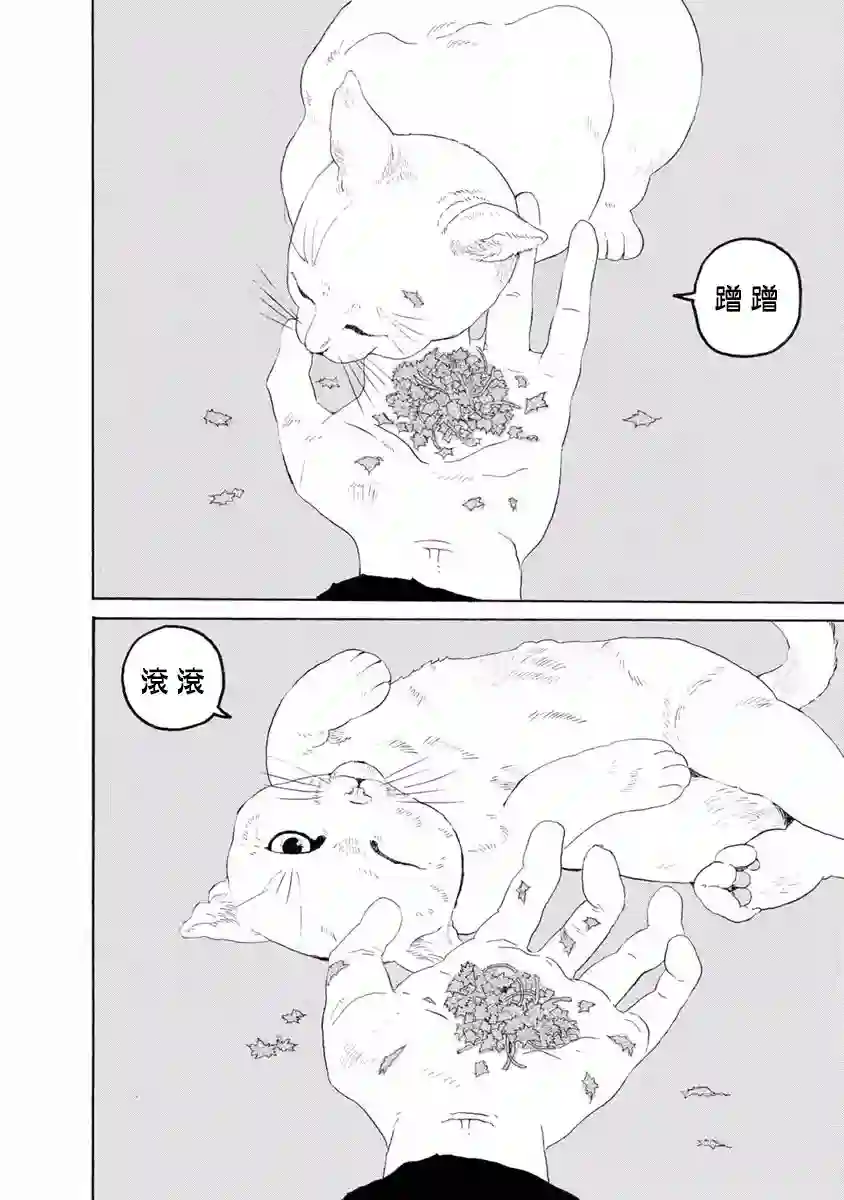 与猫随行第04话