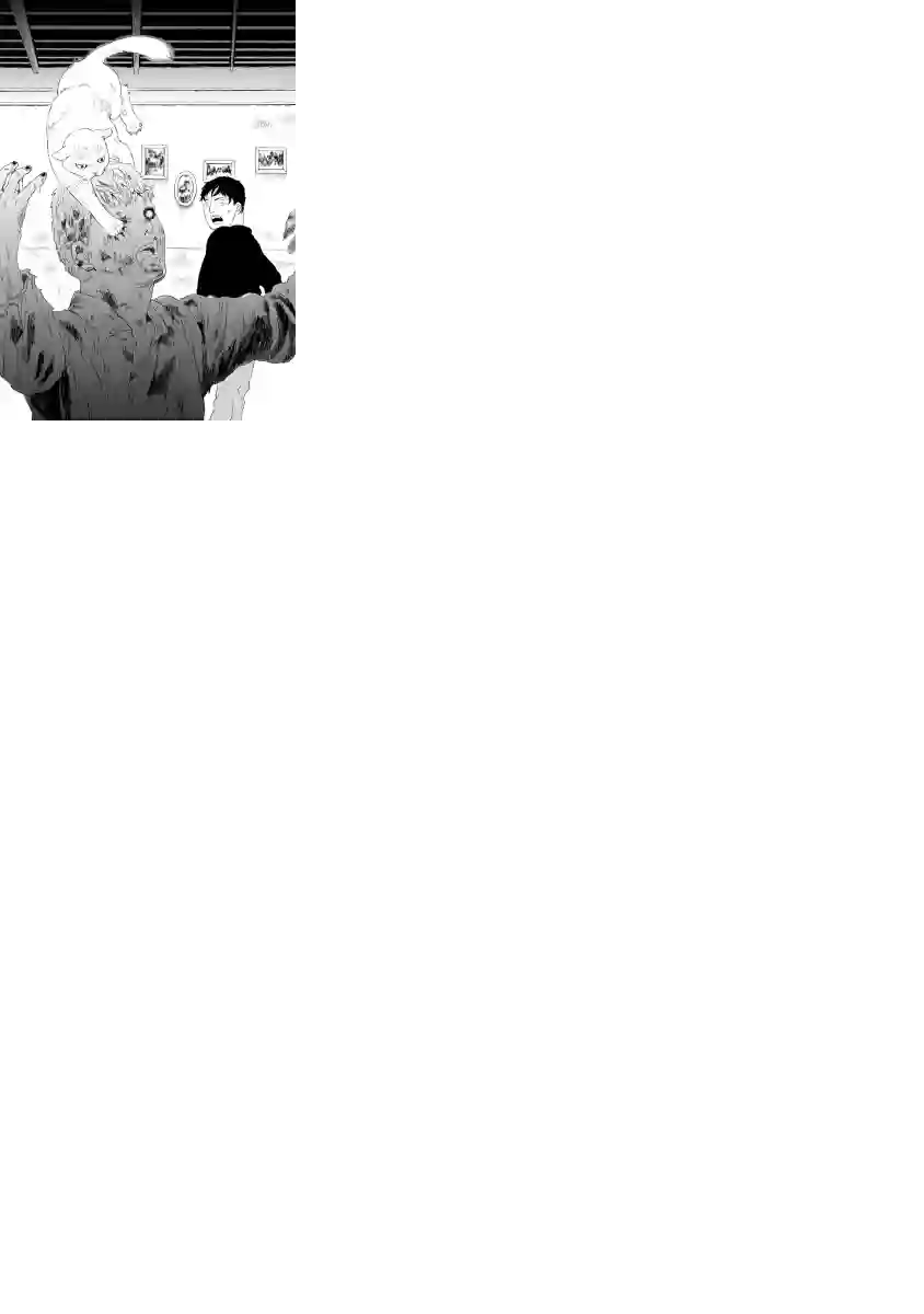 与猫随行第05话