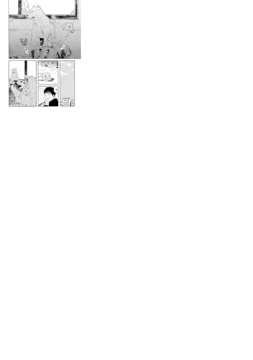 与猫随行第05话