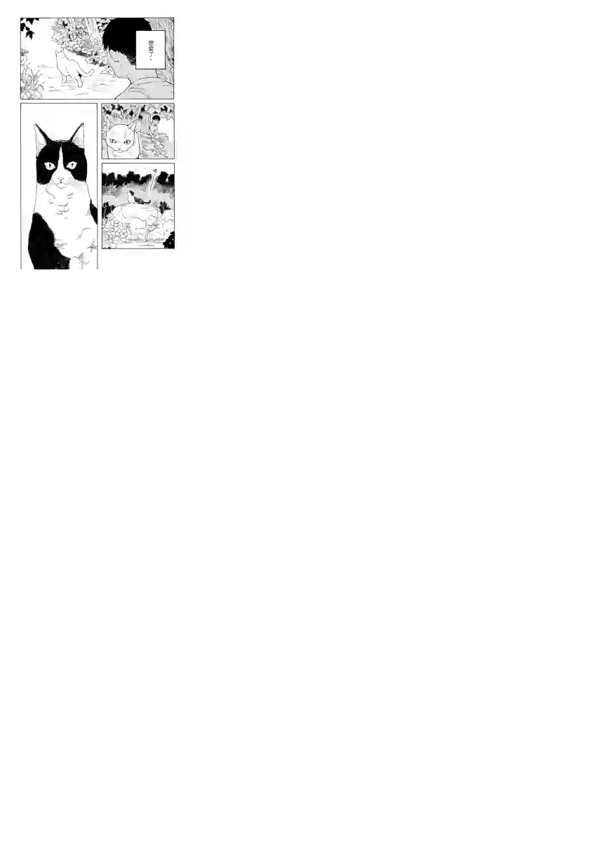 与猫随行第06话