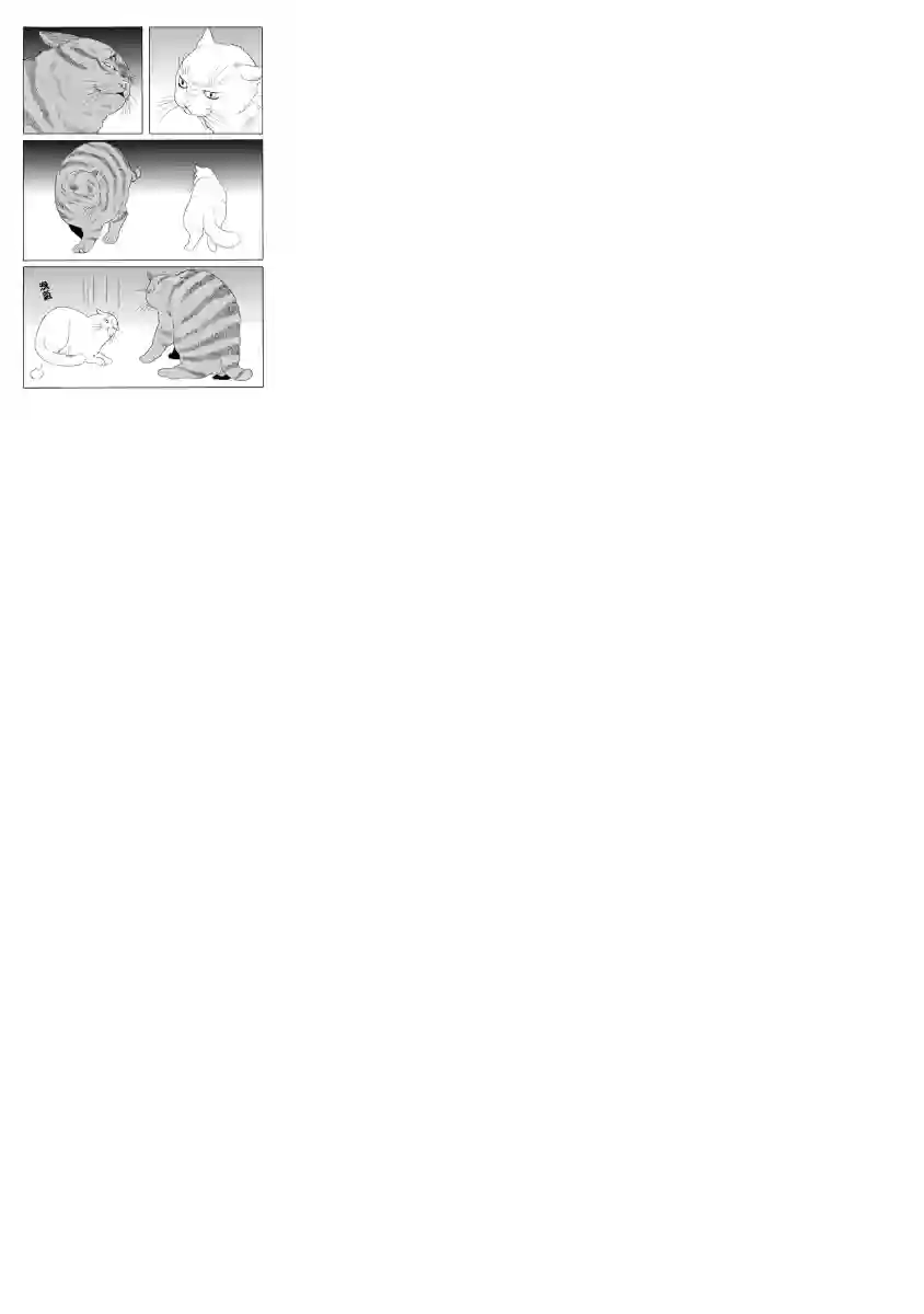 与猫随行第06话