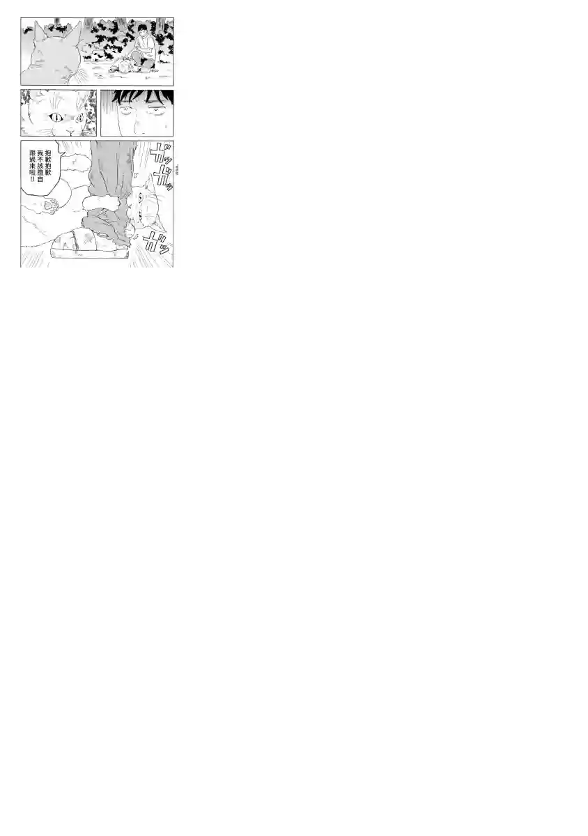 与猫随行第06话