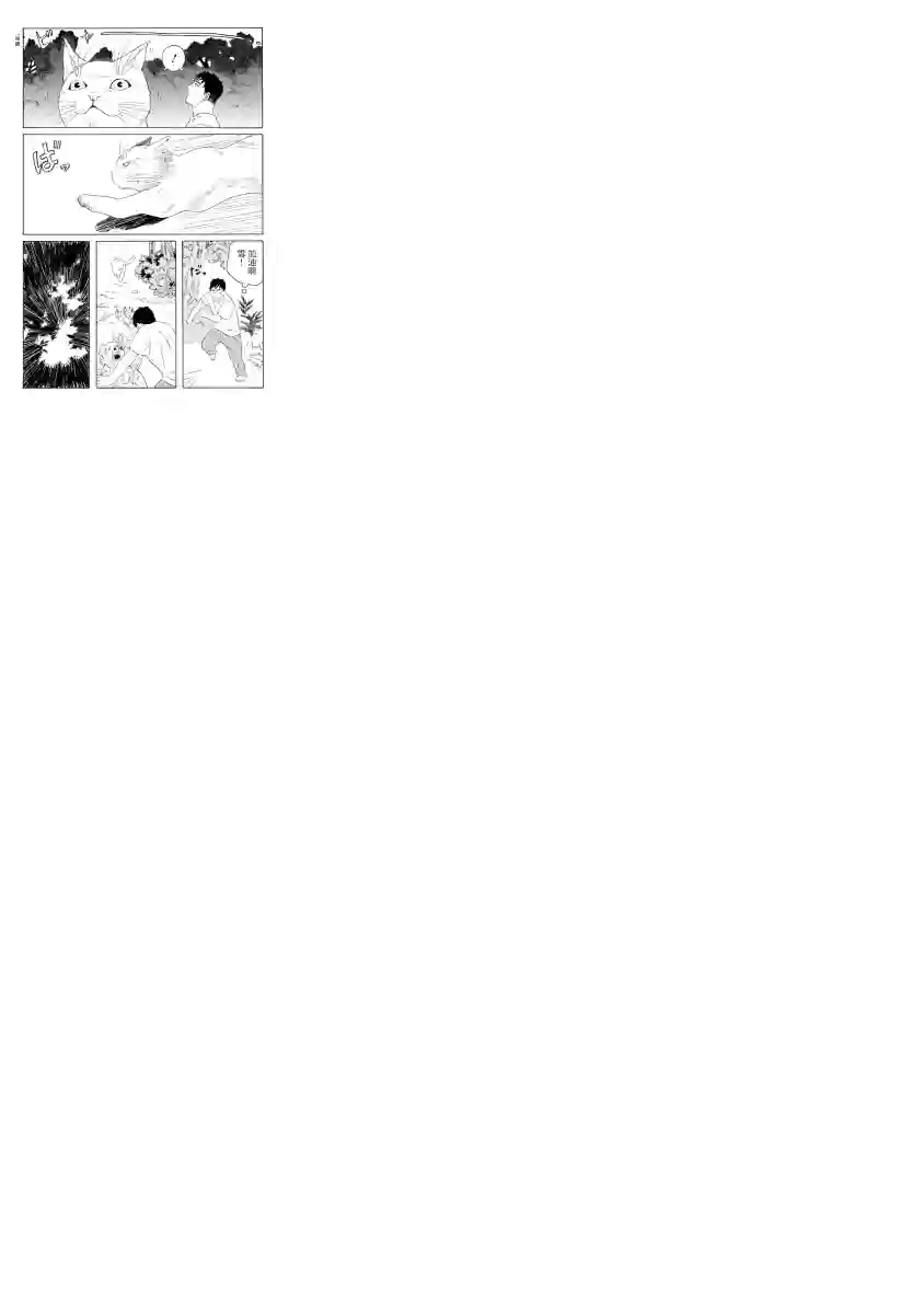 与猫随行第06话