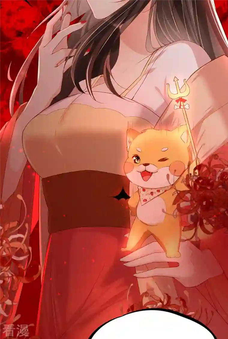 女阎罗的任务指南预告