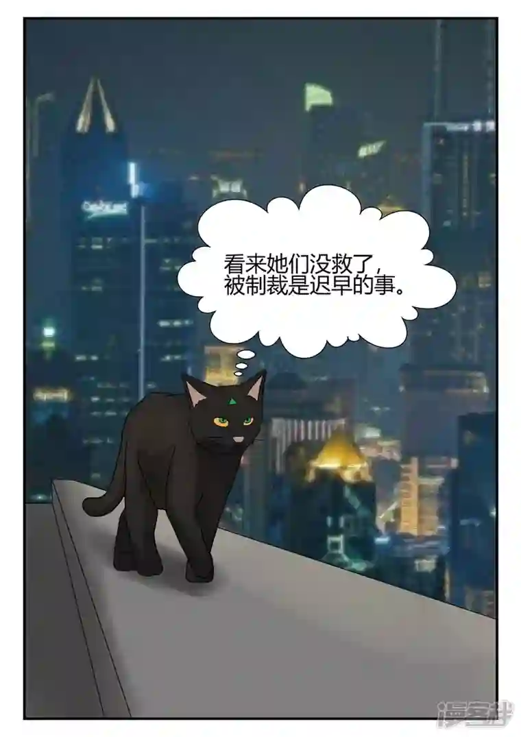 一人领域第四章-终归-4