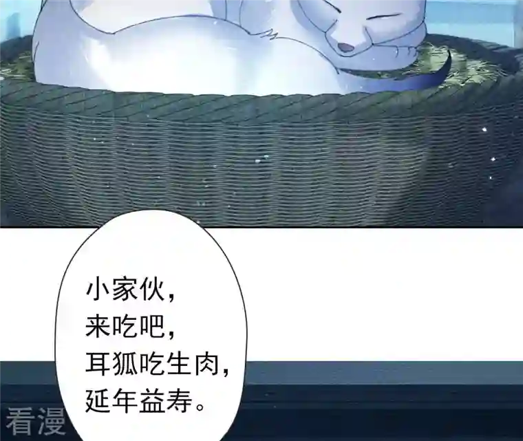 弥天玦第4话 银狐