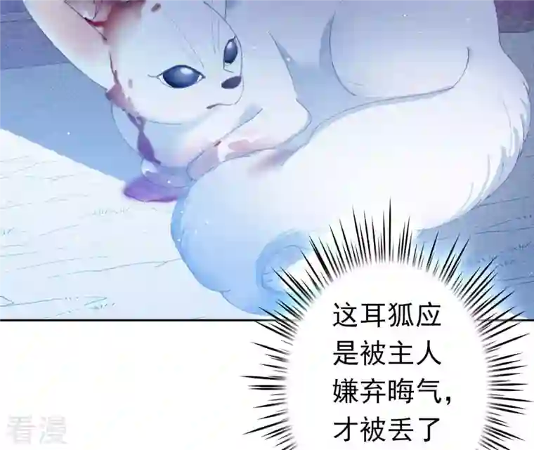 弥天玦第4话 银狐