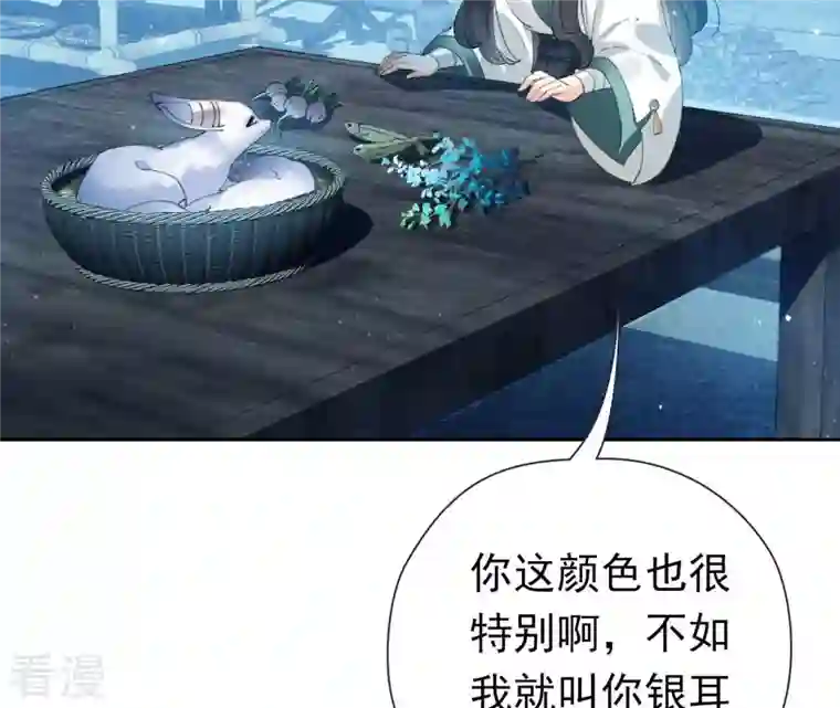 弥天玦第4话 银狐