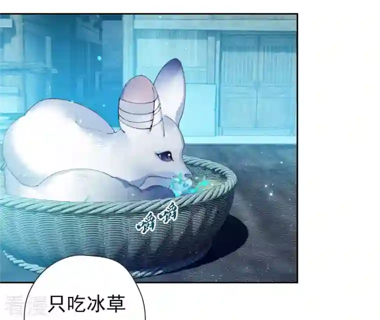 弥天玦第4话 银狐