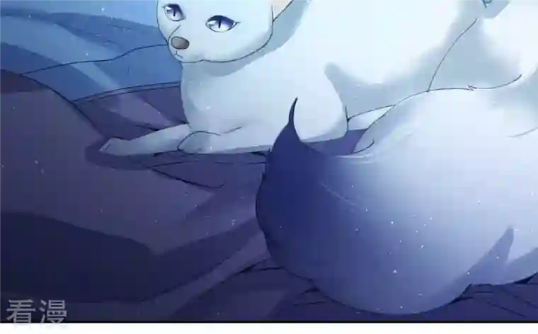 弥天玦第6话 联姻