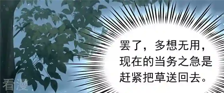 弥天玦第12话 呈帐冷霜草