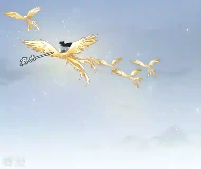 弥天玦第12话 呈帐冷霜草