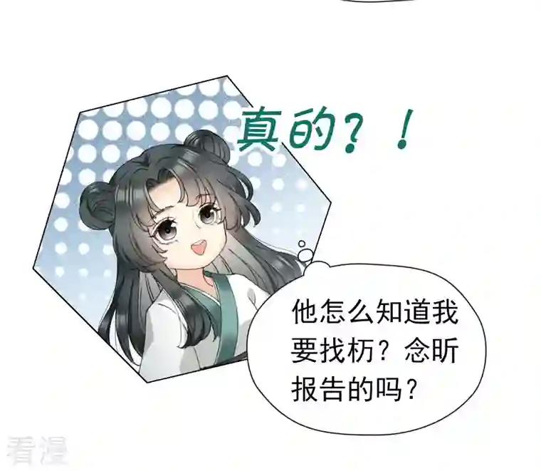 弥天玦第17话 患难