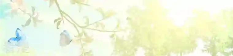 弥天玦第70话 师父的考验