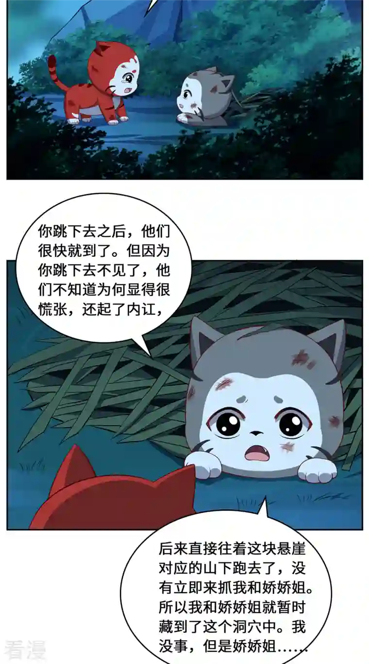 吾本是猫第104话 埋伏