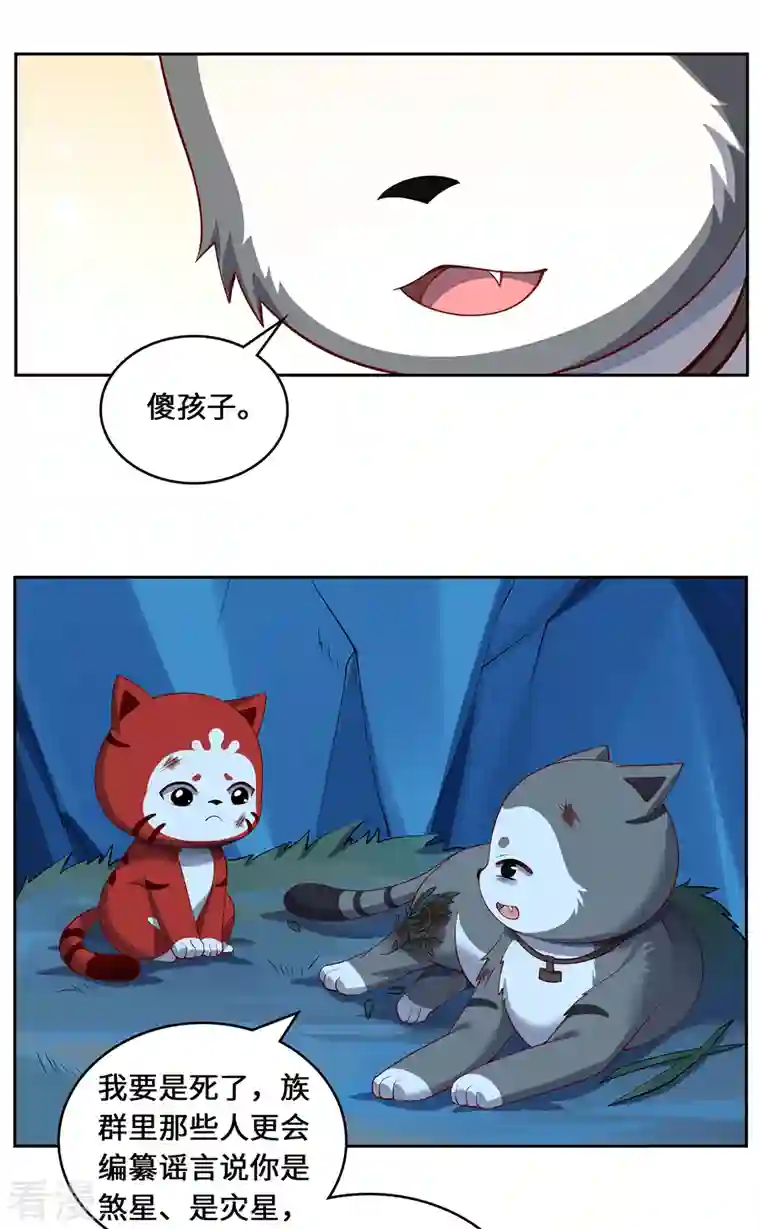 吾本是猫第104话 埋伏