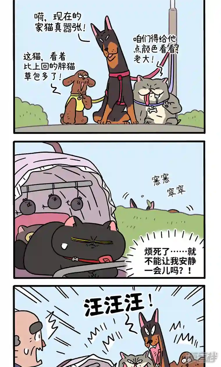 阿满和麦茶第103话2 球球之魂