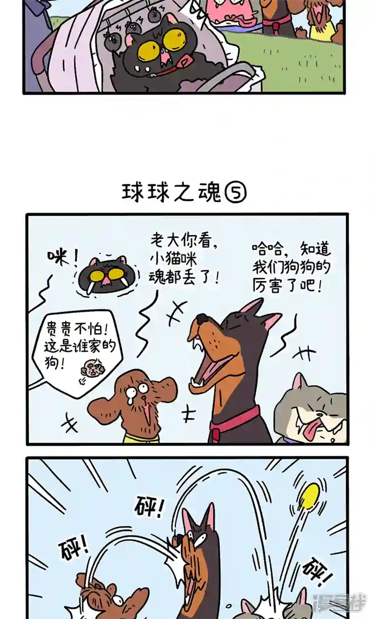 阿满和麦茶第103话2 球球之魂
