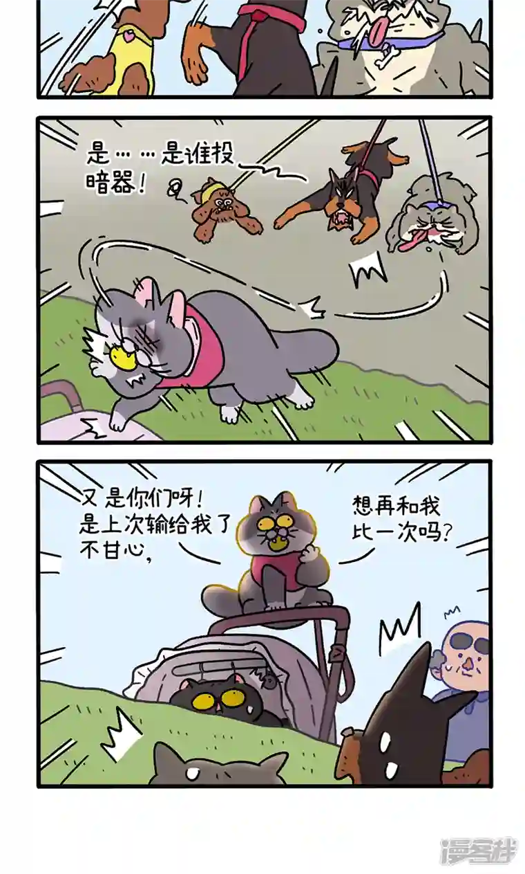 阿满和麦茶第103话2 球球之魂