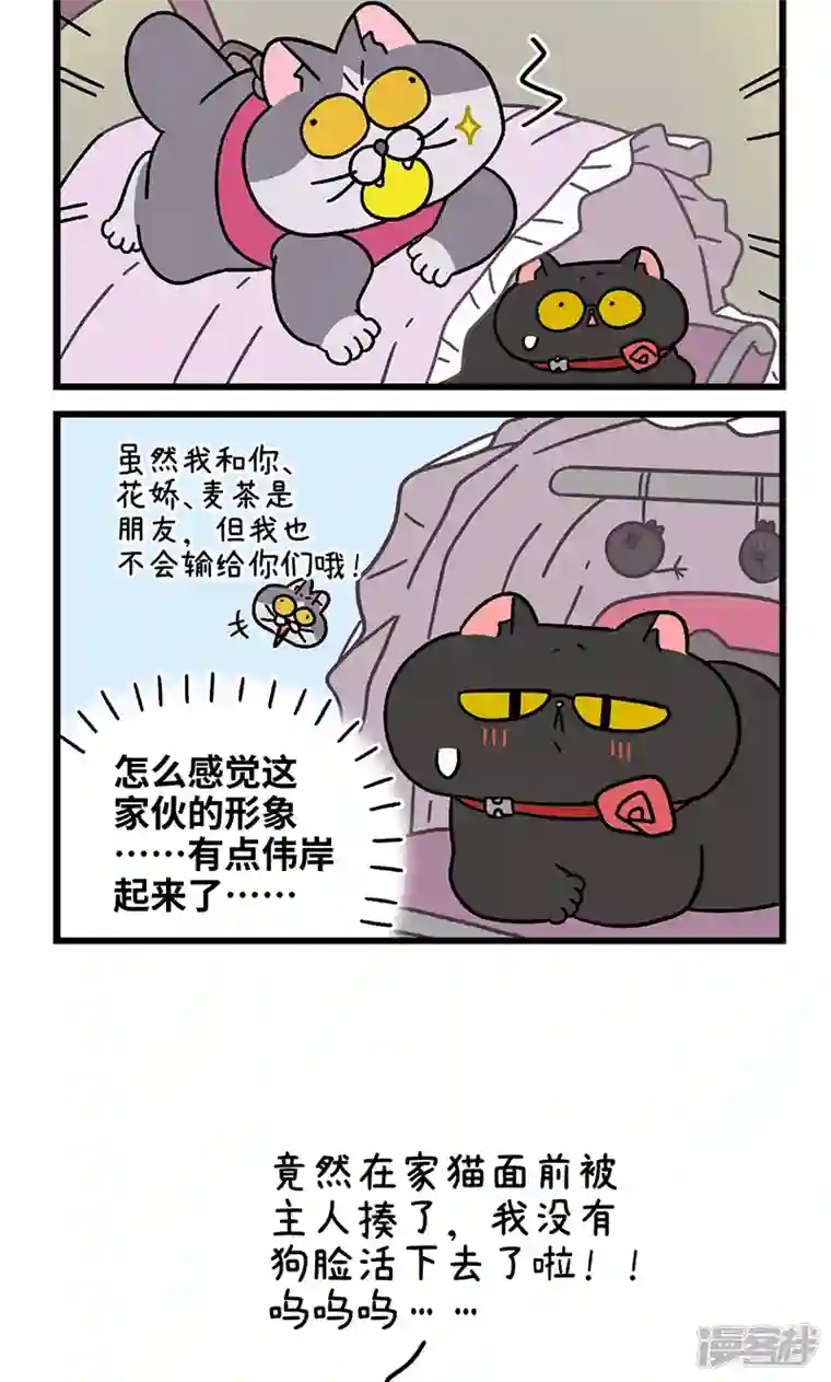 阿满和麦茶第103话2 球球之魂