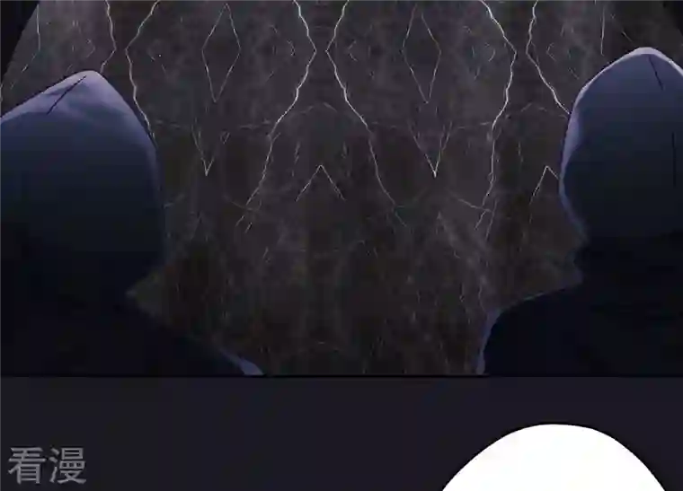 最豪赘婿 龙王殿第240话 飞入敌营