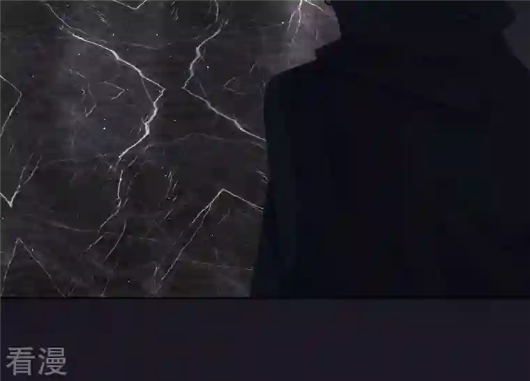 最豪赘婿 龙王殿第240话 飞入敌营